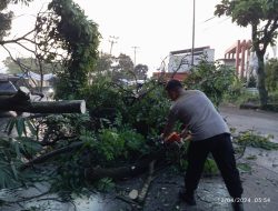 Bareng Warga, Polisi di Sukabumi Evakuasi Pohon Tumbang Hingga Tutupi Badan Jalan