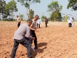 Dukung Ketahanan Pangan, Satbrimob Polda Jabar Manfaatkan Lahan dengan Tanam Singkong dan Jagung