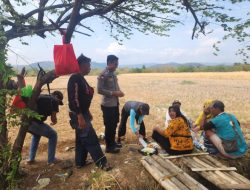 Menjelang Pilkada 2024, Bhabinkamtibmas Polsek Majalengka Kota Blusukan ke Sawah Sambangi Warga