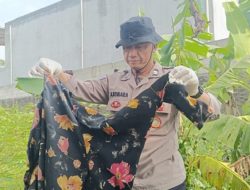 Penemuan Mayat Perempuan di Kebun Singkong: Polisi Selidiki Penyebab Kematian