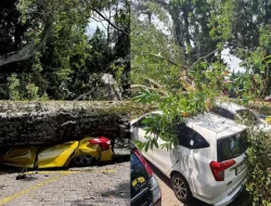 Polsek Lembang Sigap Evakuasi Pohon Tumbang yang Timpa Mobil di Farmhouse Lembang