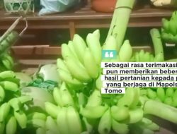 Berikan Hasil Pertanian Sebagai Ungkapan Terima Kasih, Ratusan Warga Desa Tolengas Geruduk Polsek Tomo