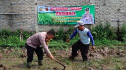 Polresta Bandung Bergerak Nyata Dukung Ketahanan Pangan Nasional, Berdampingan dengan Petani