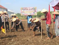 Dukung Ketahanan Pangan, Polres Majalengka Gelar Pekarangan Bergizi