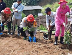 Dukung Ketahanan Pangan, Polres Tasikmalaya Launching Pekarangan Pangan Bergizi di Wilayah Cigalontang