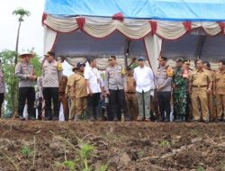 Kapolda Jabar Tinjau Langsung Lahan Pertanian di Indramayu, Dukung Program Ketahanan Pangan Nasional