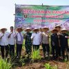 Polres Cianjur Dukung Ketahanan Pangan Nasional, Kapolres Cianjur: Tanam Bibit Jagung