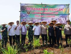 Polres Cianjur Dukung Ketahanan Pangan Nasional, Kapolres Cianjur: Tanam Bibit Jagung