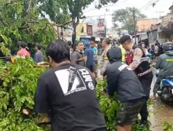 Pohon Tumbang Diterjang Angin Kencang, Polres Cimahi Intensifkan Pengaturan Lalu Lintas di Titik Kemacetan