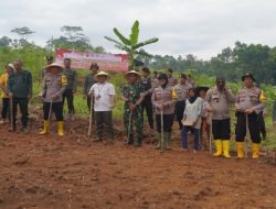 Polres Tasikmalaya Kota Tanam Bibit di Kampung Salapan, Dorong Ketahanan Pangan dan Kemandirian Petani