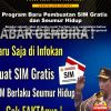 [ MANIPULATED CONTENT ] Program Baru Pembuatan SIM Gratis dan Seumur Hidup