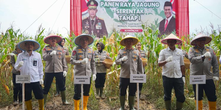 Wakapolda Jabar Pimpin Panen Raya Jagung di Sumedang, Dukung Swasembada Pangan 2025