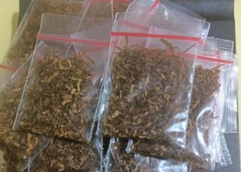 Sat Narkoba Polres Purwakarta Tangkap Pengedar Tembakau Sintetis, Modus Lama Lewat Instagram Terbongkar