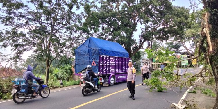 Pohon Tumbang di Jalan Raya Kuningan-Cirebon, Polisi dan Warga Bersinergi Evakuasi Ranting