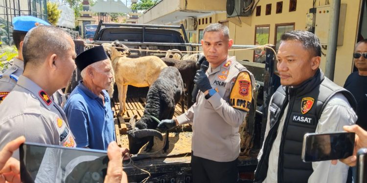 Polres Ciamis Tangkap Pencuri Domba, Keluarga Korban Apresiasi Kecepatan dan Kinerja Polisi