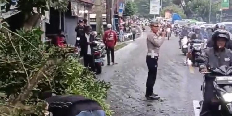 Sat Lantas Polres Sukabumi Kota Bersinergi Evakuasi Pohon Tumbang, Arus Lalu Lintas Kembali Normal