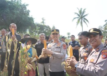 Polres Garut Gelar Panen Raya Jagung, Tunjukkan Sinergi dan Dukungan Ketahanan Pangan
