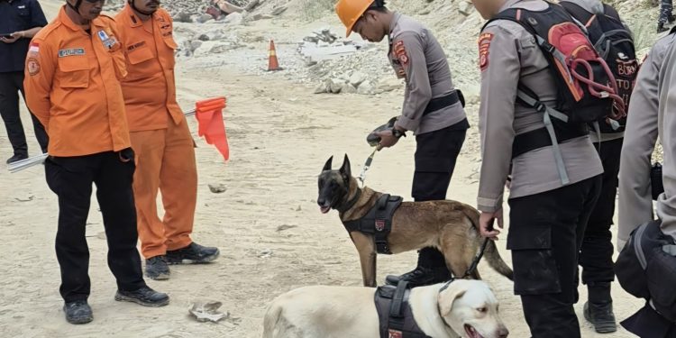 Tim K-9 Polda Jabar Bantu Pencarian Korban Longsor Gunung Kuda Cirebon