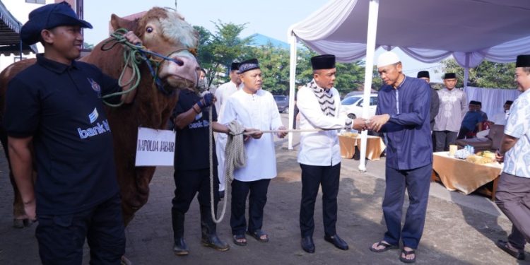 Hari Raya Idul Adha 1446 H, Kapolda Jabar Sumbangkan Dua Ekor Sapi Limosin untuk Pesantren, Penyandang Cacat dan Kaum Dhuafa