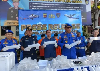 Ancaman Ekosistem Laut Dihentikan, Ditpolairud Polda Jabar Gagalkan Penyelundupan 50.000 Benih Lobster