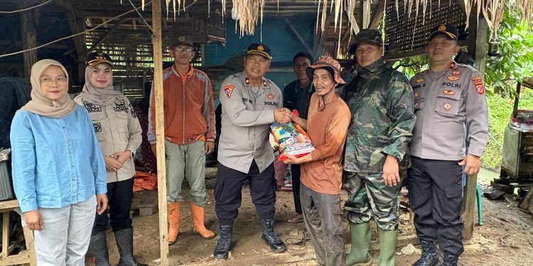 Sinergi Polres Banjar, Pemerintah, dan Warga Sukses Tanam Jagung di Lahan Sawah Baku