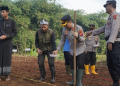 Polres Purwakarta Tanam Jagung di Kaki Gunung Burangrang, Wujudkan Swasembada Pangan