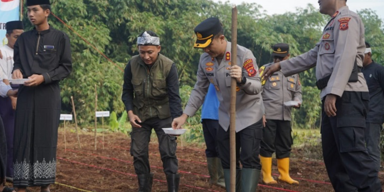 Polres Purwakarta Tanam Jagung di Kaki Gunung Burangrang, Wujudkan Swasembada Pangan