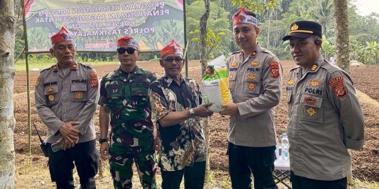 Dukung Ketahanan Pangan Nasional, Polres Tasikmalaya Kota Tanam Jagung Serentak di Cisayong