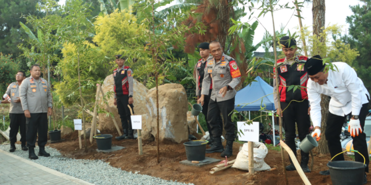 Kapolda Jabar dan Pejabat Lainnya Tanam Bibit Pohon Damar di Kuningan, Wujudkan Komitmen Penghijauan