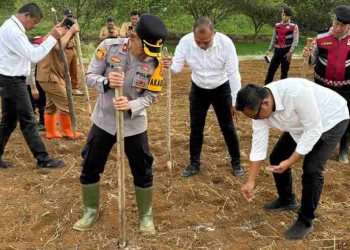 Polres Banjar dan Forkopimda Tanam Jagung, Wujudkan Ketahanan Pangan Nasional
