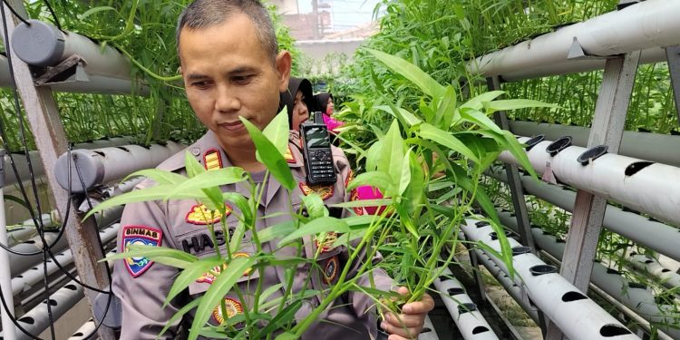 Polsek Margahayu Bagikan Hasil Panen Hidroponik ke Warga