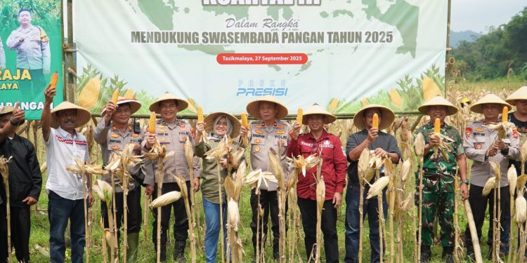 Polres Tasikmalaya Pimpin Panen Raya Jagung, Bukti Nyata Dukung Ketahanan Pangan Nasional dan Implementasi Program Prioritas Kapolri