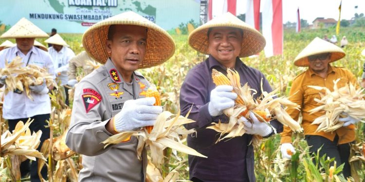 Polda Jabar Sukses Gelar Panen Raya Jagung, Bukti Nyata Dukung Swasembada Pangan Nasional 2025