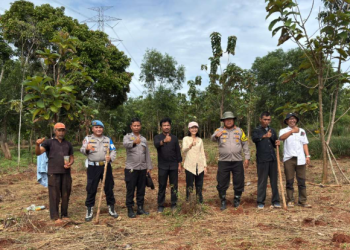 Kapolsek Purwakarta Kota Dukung Ketahanan Pangan dengan Menanam Jagung Hibrida Bersama Warga