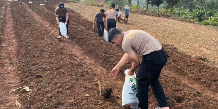 Dukung Ketahanan Pangan, Polda Jabar Siap Tanam Jagung dan Ubi di Lahan 752 Hektare