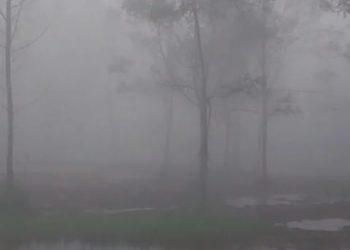 Cuaca Ekstrem, Polres Cianjur Himbau Pengendara Waspada Kabut Tebal dan Bahaya Kecelakaan