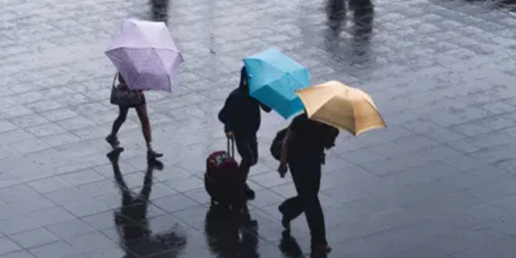 Tips Jitu Jaga Kesehatan di Musim Hujan: Imun Kuat, Tubuh Bugar Sepanjang Hari