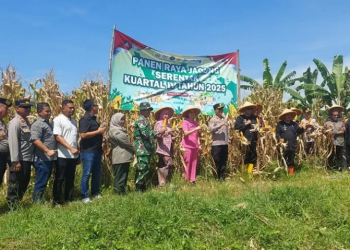 Polres Banjar dan Pemkot Banjar Sukses Gelar Panen Raya Jagung Kuartal IV, Dukung Ketahanan Pangan Nasional