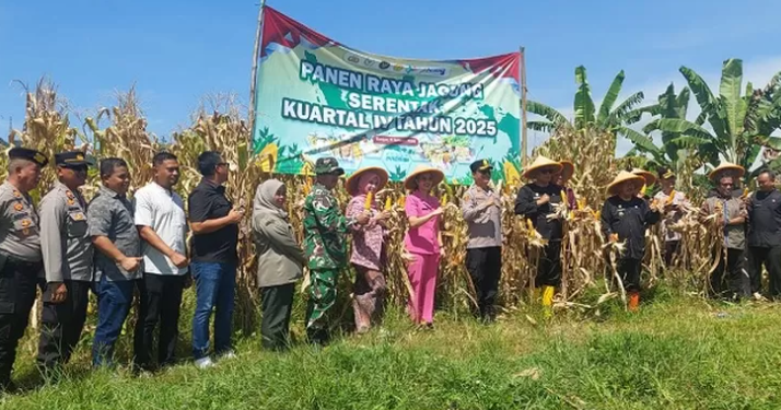 Polres Banjar dan Pemkot Banjar Sukses Gelar Panen Raya Jagung Kuartal IV, Dukung Ketahanan Pangan Nasional