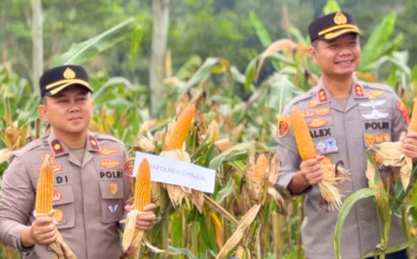 Polri Gelar Panen Raya Jagung Serentak, Polres Cianjur Turut Sukseskan Program Swasembada Pangan Nasional