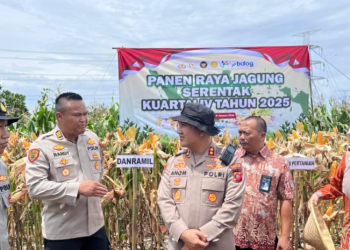 Polres Purwakarta Dukung Swasembada Pangan 2026 Melalui Panen Raya Jagung Serentak Kuartal IV