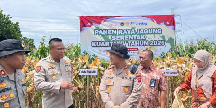 Polres Purwakarta Dukung Swasembada Pangan 2026 Melalui Panen Raya Jagung Serentak Kuartal IV