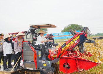 Kapolri Pimpin Panen Raya Jagung Serentak di Bekasi, Tegaskan Komitmen Polri Dukung Ketahanan Pangan Nasional