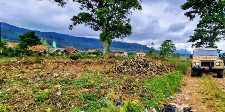 Polisi Limpahkan Kasus Perusakan Pohon Teh Pangalengan ke Kejaksaan