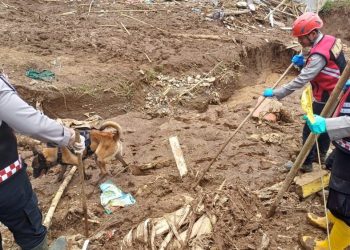 Hari Ke 8 : Unit K9 Polda Jabar Terus Lakukan  Penyisiran Lokasi Longsor KBB