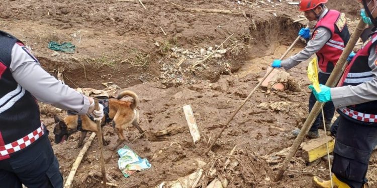 Hari Ke 8 : Unit K9 Polda Jabar Terus Lakukan  Penyisiran Lokasi Longsor KBB