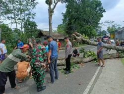 Kabid Humas Polda Jabar : Pohon Besar Tumbang diterjang Angin,  Polisi Bersinergi Dengan TNI,  Sigap Lakukan Evakuasi