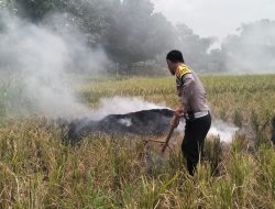 Respon cepat kasat lantas Polres Subang memadamkan pembakaran jerami padi di ruas tol cipali.