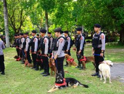 Datasemen K9 Polri Turut Amankan World Water Forum Ke-10 di Bali