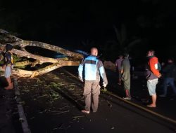 Dengan Sigap, Personil Polsek Cikijing Evakuasi Pohon Tumbang Yang Menutup Akses Jalan Nasional Cikijing-Kuningan.